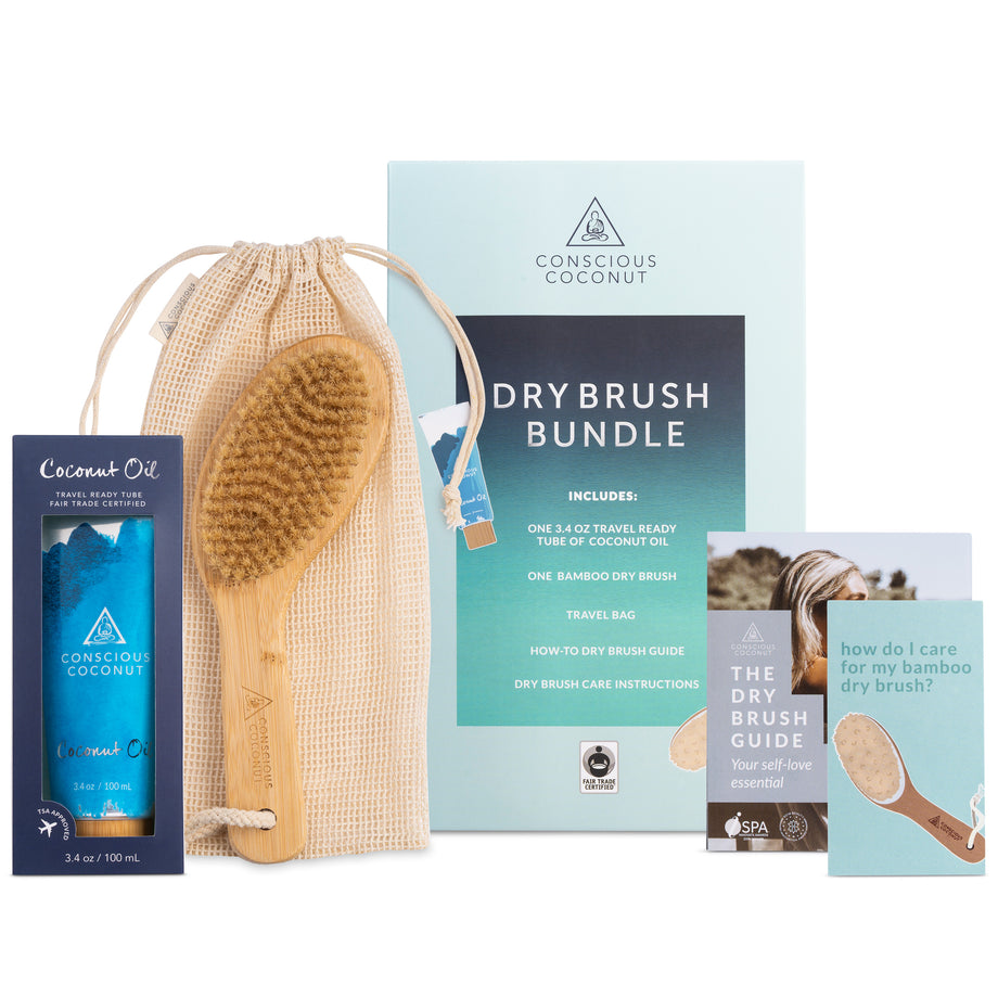 Travel Dry Brush Bundle